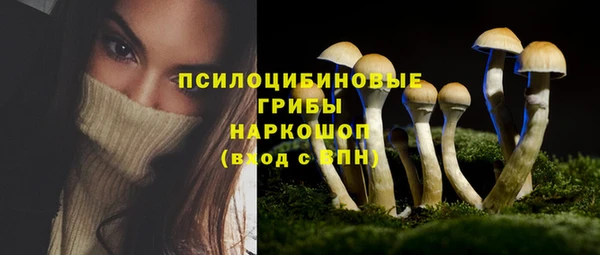 apvp Беломорск