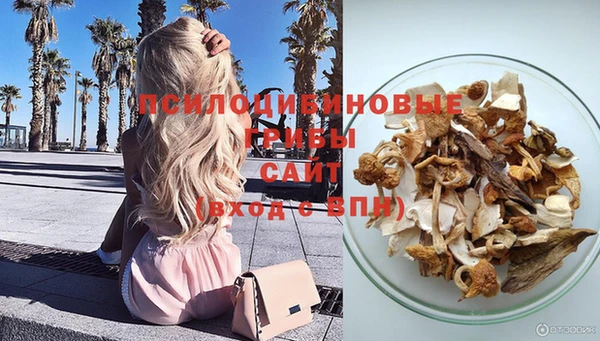 ГАЛЛЮЦИНОГЕННЫЕ ГРИБЫ Белокуриха