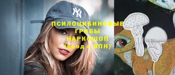 бошки Заводоуковск