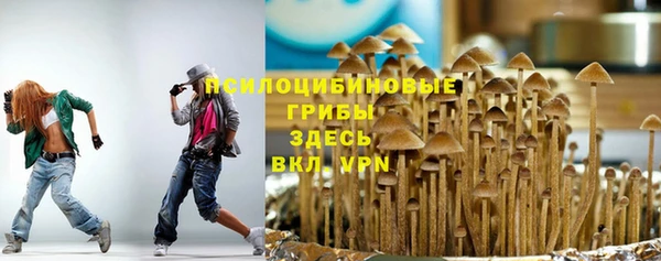 apvp Беломорск