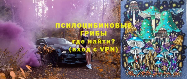 стаф Белоозёрский
